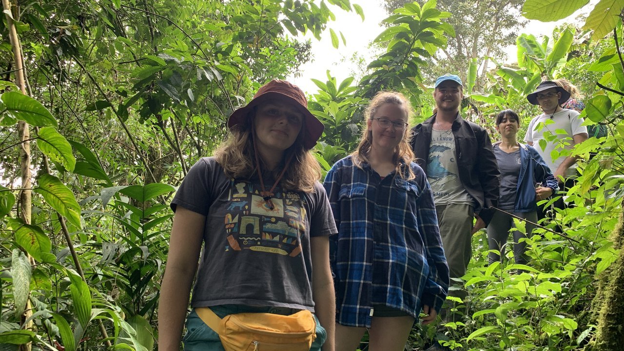 Green landscape representing social and environmental sustainability.